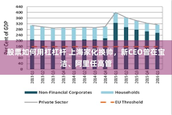 股票如何用杠杠杆 上海家化换帅，新CEO曾在宝洁、阿里任高管