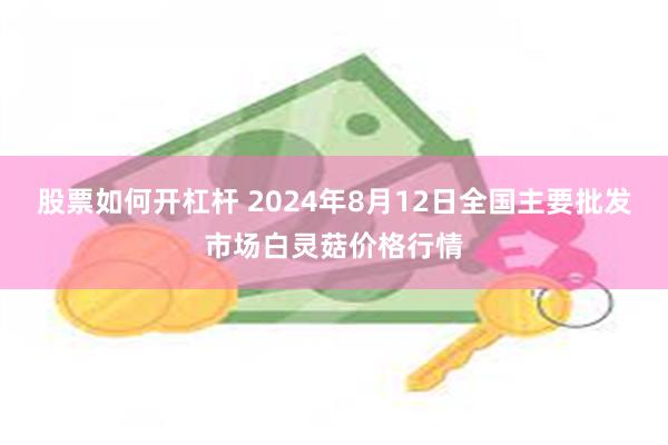 股票如何开杠杆 2024年8月12日全国主要批发市场白灵菇价格行情