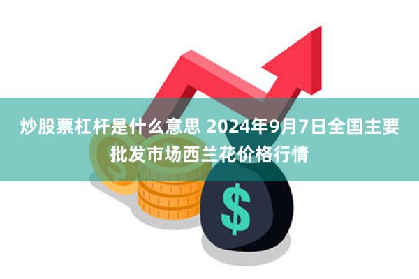 炒股票杠杆是什么意思 2024年9月7日全国主要批发市场西兰花价格行情