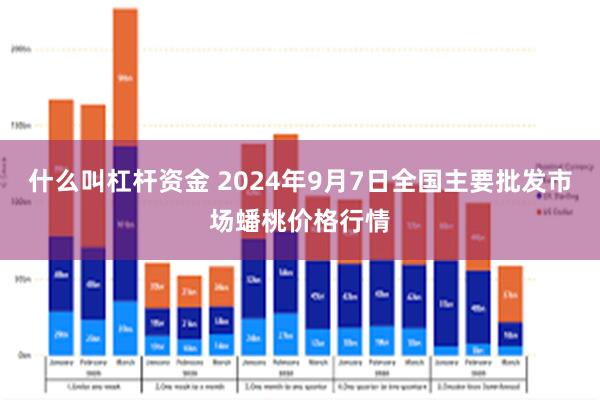 什么叫杠杆资金 2024年9月7日全国主要批发市场蟠桃价格行情