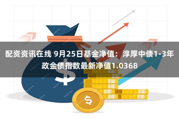 配资资讯在线 9月25日基金净值：淳厚中债1-3年政金债指数最新净值1.0368