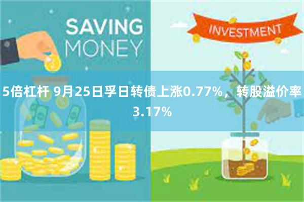 5倍杠杆 9月25日孚日转债上涨0.77%，转股溢价率3.17%