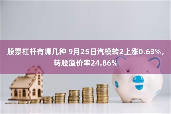 股票杠杆有哪几种 9月25日汽模转2上涨0.63%，转股溢价率24.86%