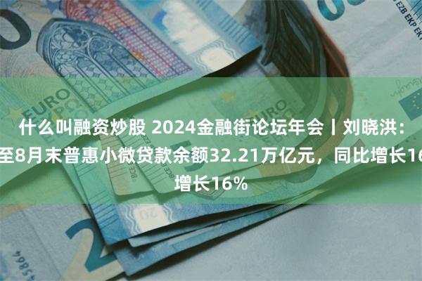 什么叫融资炒股 2024金融街论坛年会丨刘晓洪：截至8月末普惠小微贷款余额32.21万亿元，同比增长16%