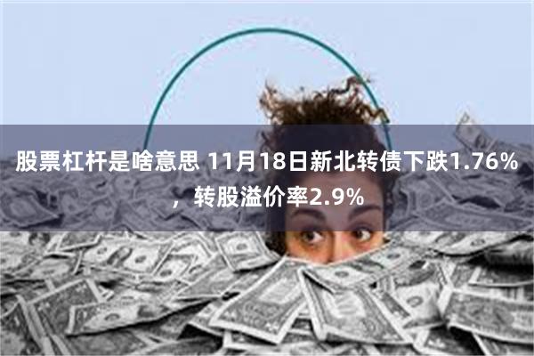 股票杠杆是啥意思 11月18日新北转债下跌1.76%，转股溢价率2.9%