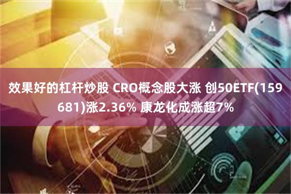 效果好的杠杆炒股 CRO概念股大涨 创50ETF(159681)涨2.36% 康龙化成涨超7%