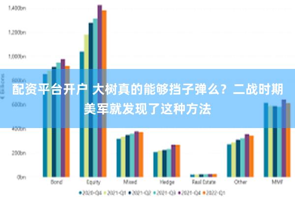 配资平台开户 大树真的能够挡子弹么？二战时期美军就发现了这种方法