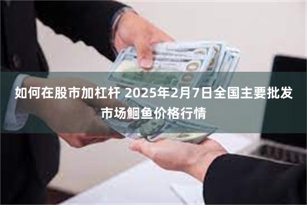 如何在股市加杠杆 2025年2月7日全国主要批发市场鮰鱼价格行情