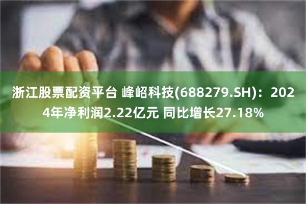 浙江股票配资平台 峰岹科技(688279.SH)：2024年净利润2.22亿元 同比增长27.18%