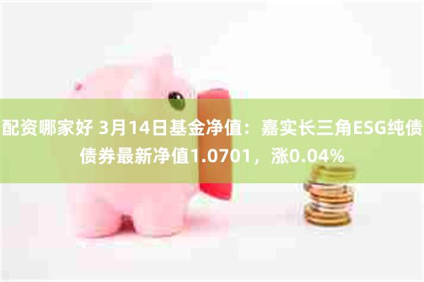 配资哪家好 3月14日基金净值：嘉实长三角ESG纯债债券最新净值1.0701，涨0.04%